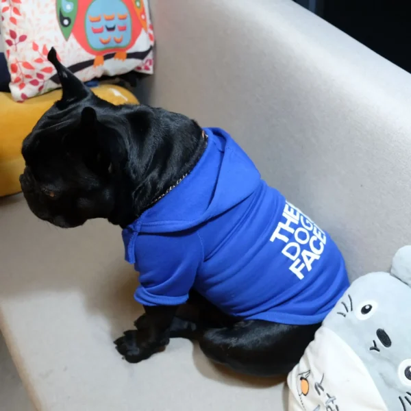 Hooded Pet Jacket - Dog Face Wind Coat Hoodie for Small to Large Dogs