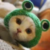 S607d6657a9a54f2380b620a7599b0315X.webp Cute Cat Hat Funny Pets Party Cosplay Headwear Delicate Hemming Pendant Decor Elasticity Knitted Hat Pet Accessories