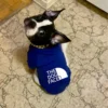 Hooded Pet Jacket - Dog Face Wind Coat Hoodie for Small to Large Dogs