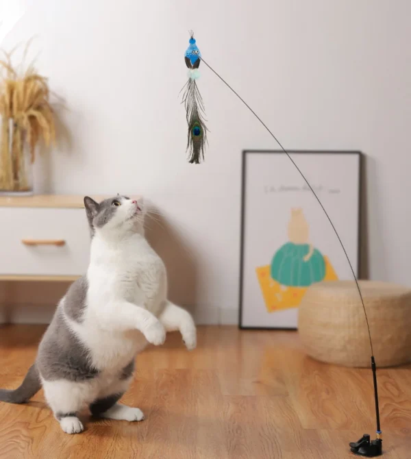 S63fa48095855426db9db47b88a232ca5R.webp Interactive Cat Feather Toy - Suction Cup Mounted with Replaceable Feathers