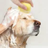 2-in-1 Pet Bath Brush - Silicone Grooming Comb & Shampoo Dispenser