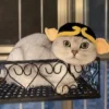 S7468bfa3b59d49e985e5deac619054bcx.webp Cute Cat Hat Funny Pets Party Cosplay Headwear Delicate Hemming Pendant Decor Elasticity Knitted Hat Pet Accessories