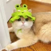 S7782ce1692594a4395bc947d098c14bac.webp Cute Cat Hat Funny Pets Party Cosplay Headwear Delicate Hemming Pendant Decor Elasticity Knitted Hat Pet Accessories