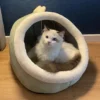 Enclosed Cat Cave Bed - Hooded Donut Design with Non-Slip Base