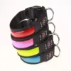S7e3271039bf44c118b673ec28d3c3cf2X.webp LED Luminous Dog Collar Adjustable Flashing USB Charging Glowing Collar Night Light Harness For Big Medium Small Dogs Pet Items