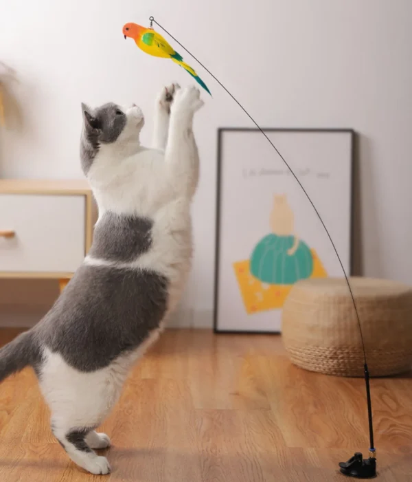 S80c67ba41376422a83061625a3a4fba7M.webp Interactive Cat Feather Toy - Suction Cup Mounted with Replaceable Feathers