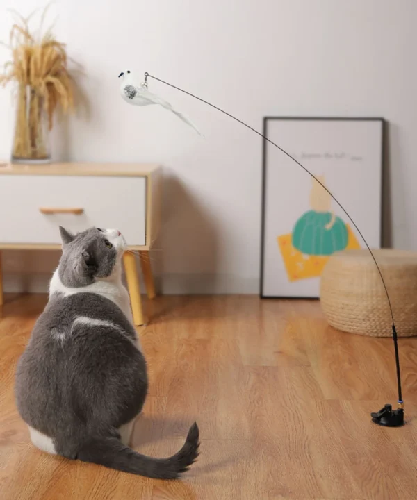 S87d37931918b4fdba8645b4514835e1aj.webp Interactive Cat Feather Toy - Suction Cup Mounted with Replaceable Feathers