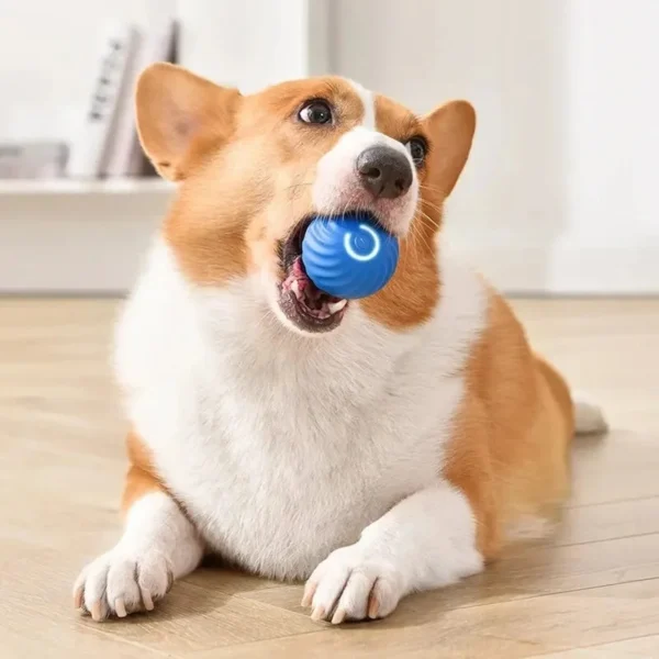Automatic Moving Dog Ball - Smart Interactive Toy with Random Bouncing
