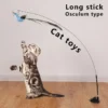 Sa6fe1e28734f4bc99de929058f005b03K.webp Interactive Cat Feather Toy - Suction Cup Mounted with Replaceable Feathers