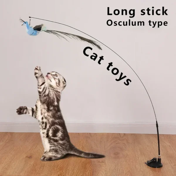 Sa6fe1e28734f4bc99de929058f005b03K.webp Interactive Cat Feather Toy - Suction Cup Mounted with Replaceable Feathers