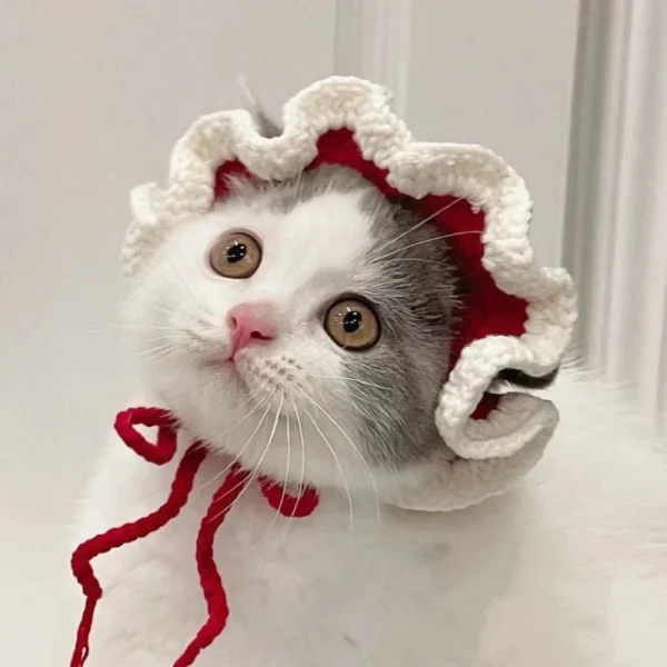Saad1f130e9bf40e6a14f401ea773a40dy.webp Cute Cat Hat Funny Pets Party Cosplay Headwear Delicate Hemming Pendant Decor Elasticity Knitted Hat Pet Accessories