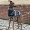 Sac78fe1e061044429fc008ec2390ccf8J.webp Fleece Dog Turtleneck Vest - Bohemian Style for Greyhounds & Thin-Coated Breeds