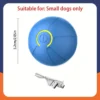 Automatic Moving Dog Ball - Smart Interactive Toy with Random Bouncing