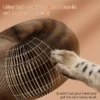 Corrugated Cat Scratching Board with Catnip - Multi-Functional Claw Grinding Plate
