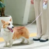 LED Retractable Dog Leash - Illuminated Roulette Leash with 3M/5M Options
