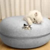Felt Donut Cat Bed - 2-in-1 Convertible Tunnel & Lounge