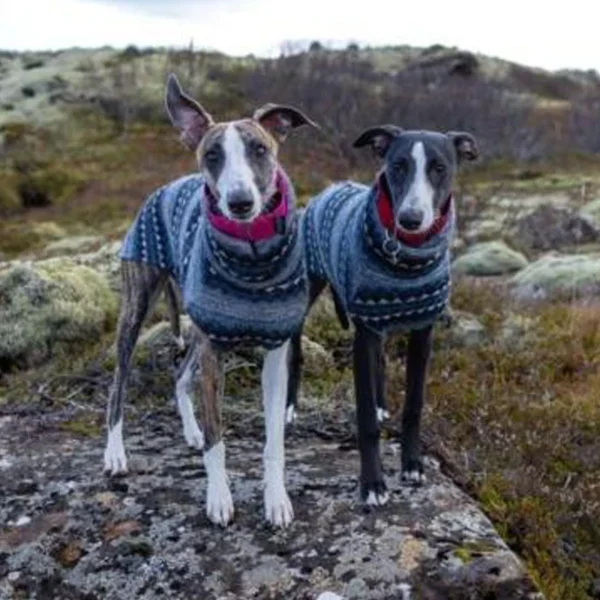 Sd6baf63c475742faa31c7dc58b3cd830Y.webp Fleece Dog Turtleneck Vest - Bohemian Style for Greyhounds & Thin-Coated Breeds