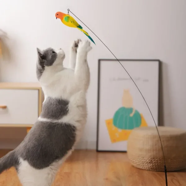 Sdf93c517d2114f5083b09e9dc8016f60Y.webp Interactive Cat Feather Toy - Suction Cup Mounted with Replaceable Feathers
