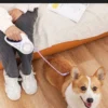 LED Retractable Dog Leash - Illuminated Roulette Leash with 3M/5M Options