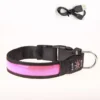 Se6ea380fb1ce4e4aa749ca066a4fe109n.webp LED Luminous Dog Collar Adjustable Flashing USB Charging Glowing Collar Night Light Harness For Big Medium Small Dogs Pet Items