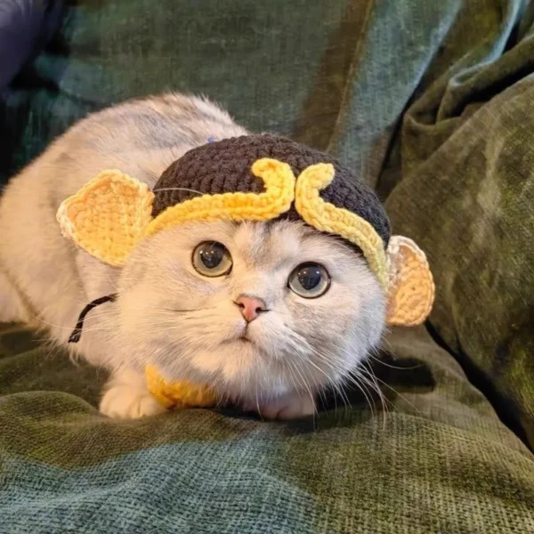 Sf504d93e240140a9909cb41f4e724877l.webp Cute Cat Hat Funny Pets Party Cosplay Headwear Delicate Hemming Pendant Decor Elasticity Knitted Hat Pet Accessories