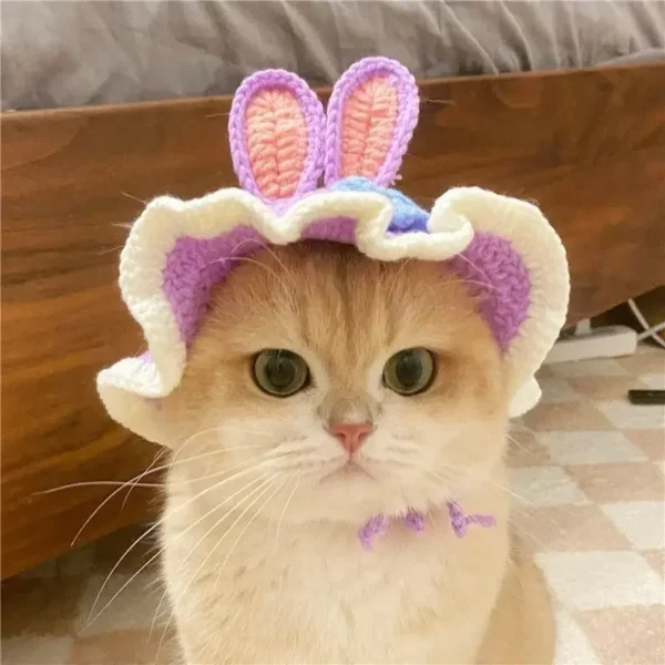 Sfad873693f0049c394fbe922627493d8v.webp Cute Cat Hat Funny Pets Party Cosplay Headwear Delicate Hemming Pendant Decor Elasticity Knitted Hat Pet Accessories