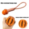 Sff02609f66c847aab5193e09d3d192d0r.webp Interactive Dog Toy 3-Pack - Tug Rope, Treat Ball & Chew Toy for Large Breeds